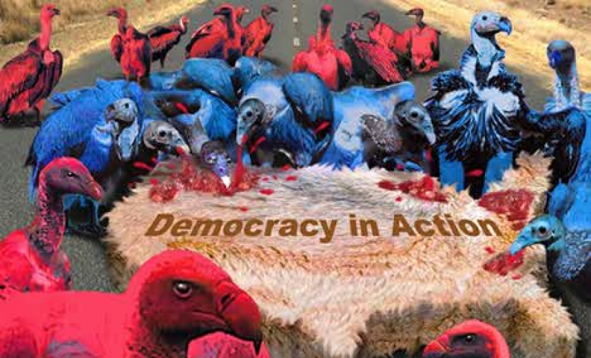 image-democracy